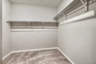 13574 Solaris St, Parker, CO 80134 - Photo 18