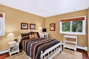 28221 Bonanza Dr, Evergreen, CO 80439 - Photo 26