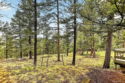 28221 Bonanza Drive, Evergreen, CO 80439 - Photo 44
