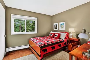 28221 Bonanza Dr, Evergreen, CO 80439 - Photo 24