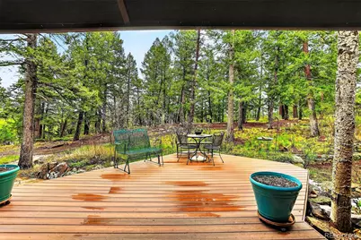 28221 Bonanza Drive, Evergreen, CO 80439 - Photo 44