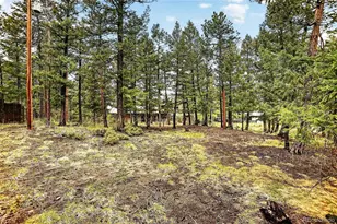 28221 Bonanza Dr, Evergreen, CO 80439 - Photo 46