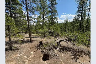 218 Aspen Drive, Leadville, CO 80461 - Photo 6