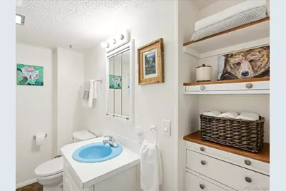 26407 S End Road, Kittredge, CO 80457 - Photo 24