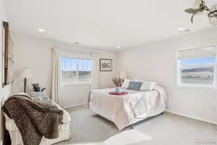 3197 Cool Meadow Pl, Castle Rock, CO 80104 - Photo 32