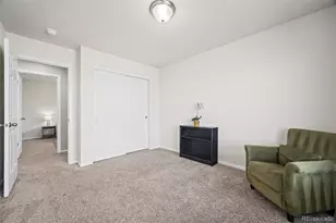 11195 Cinch Wy, Parker, CO 80134 - Photo 32