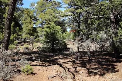 71, 72, 73 Horseshoe Trail, San Luis, CO 81152 - Photo 32