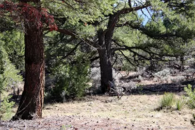 71, 72, 73 Horseshoe Trail, San Luis, CO 81152 - Photo 4