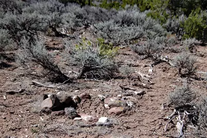 71, 72, 73 Horseshoe Trail, San Luis, CO 81152 - Photo 16