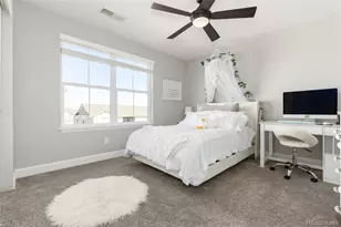 3112 Starry Night Loop, Castle Rock, CO 80109 - Photo 32