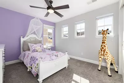 3112 Starry Night Loop, Castle Rock, CO 80109 - Photo 30
