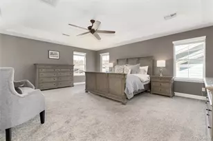 3112 Starry Night Loop, Castle Rock, CO 80109 - Photo 24