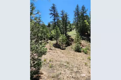 102 Kevin Drive, Cotopaxi, CO 81223 - Photo 14