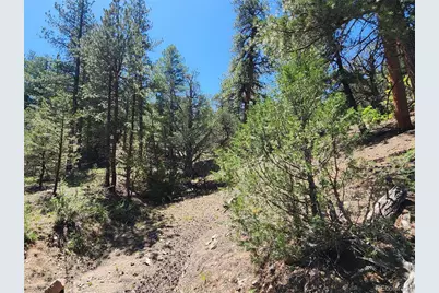 102 Kevin Drive, Cotopaxi, CO 81223 - Photo 8