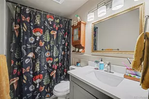 972 S Miller St, Lakewood, CO 80226 - Photo 16