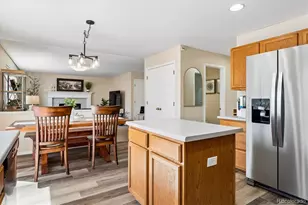 10534 Westcliff Pl, Highlands Ranch, CO 80130 - Photo 16