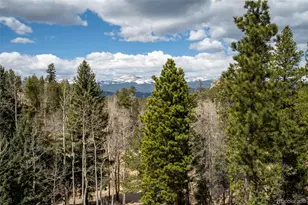 201 Olde Carter Lake Rd, Golden, CO 80403 - Photo 44