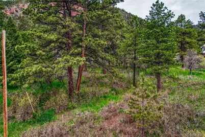 000 Buena Vista Avenue, Palmer Lake, CO 80133 - Photo 4