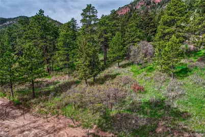 000 Buena Vista Avenue, Palmer Lake, CO 80133 - Photo 6