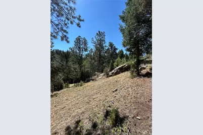 14850 Quandary Peak Road, Pine, CO 80470 - Photo 6