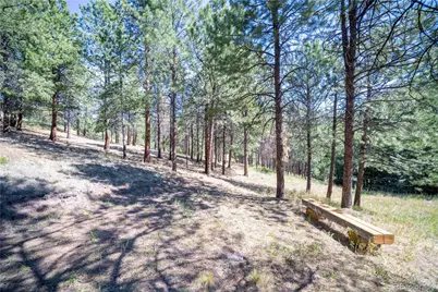 14850 Quandary Peak Road, Pine, CO 80470 - Photo 12