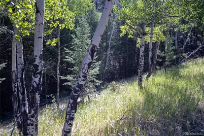 14850 Quandary Peak Road, Pine, CO 80470 - Photo 22