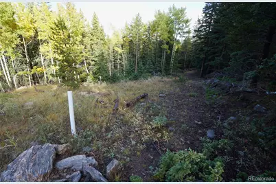 429 Sawmill Lane, Idaho Springs, CO 80452 - Photo 16