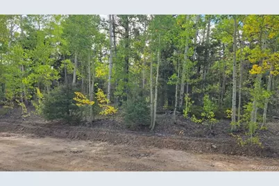5878 Loubier Road, Fort Garland, CO 81133 - Photo 6