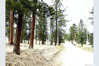 252 Beaver Trail, Bailey, CO 80421 - Photo 2