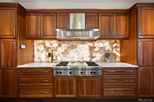 1062 Cypress Way, Castle Rock, CO 80108 - Photo 10