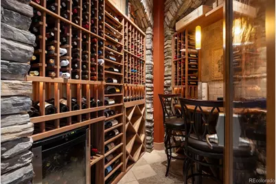 1062 Cypress Way, Castle Rock, CO 80108 - Photo 26