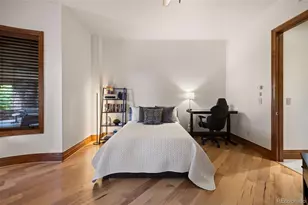 1062 Cypress Way, Castle Rock, CO 80108 - Photo 36