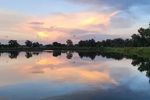 4303 Quail St, Wheat Ridge, CO 80033 - Photo 38