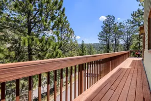 1423 Roland Dr, Bailey, CO 80421 - Photo 26