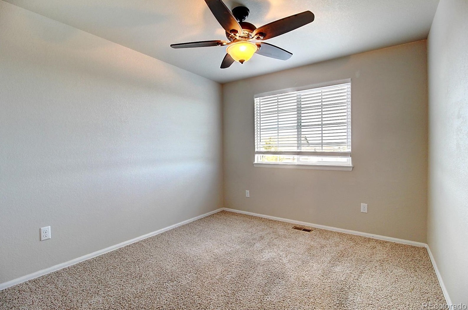 4397 Cypress Ridge Ln, Wellington CO  80549-1869 exterior