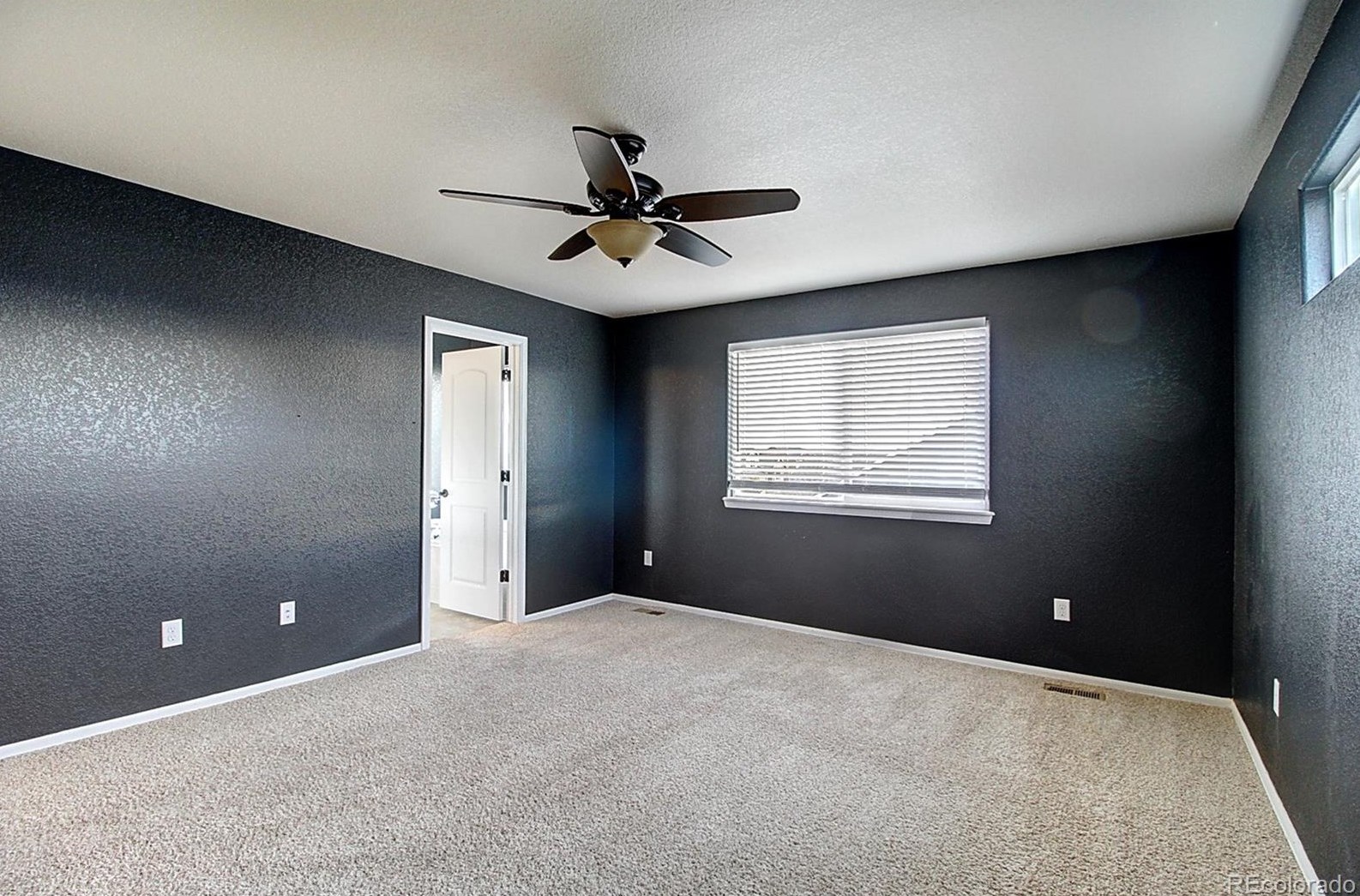 4397 Cypress Ridge Ln, Wellington CO  80549-1869 exterior