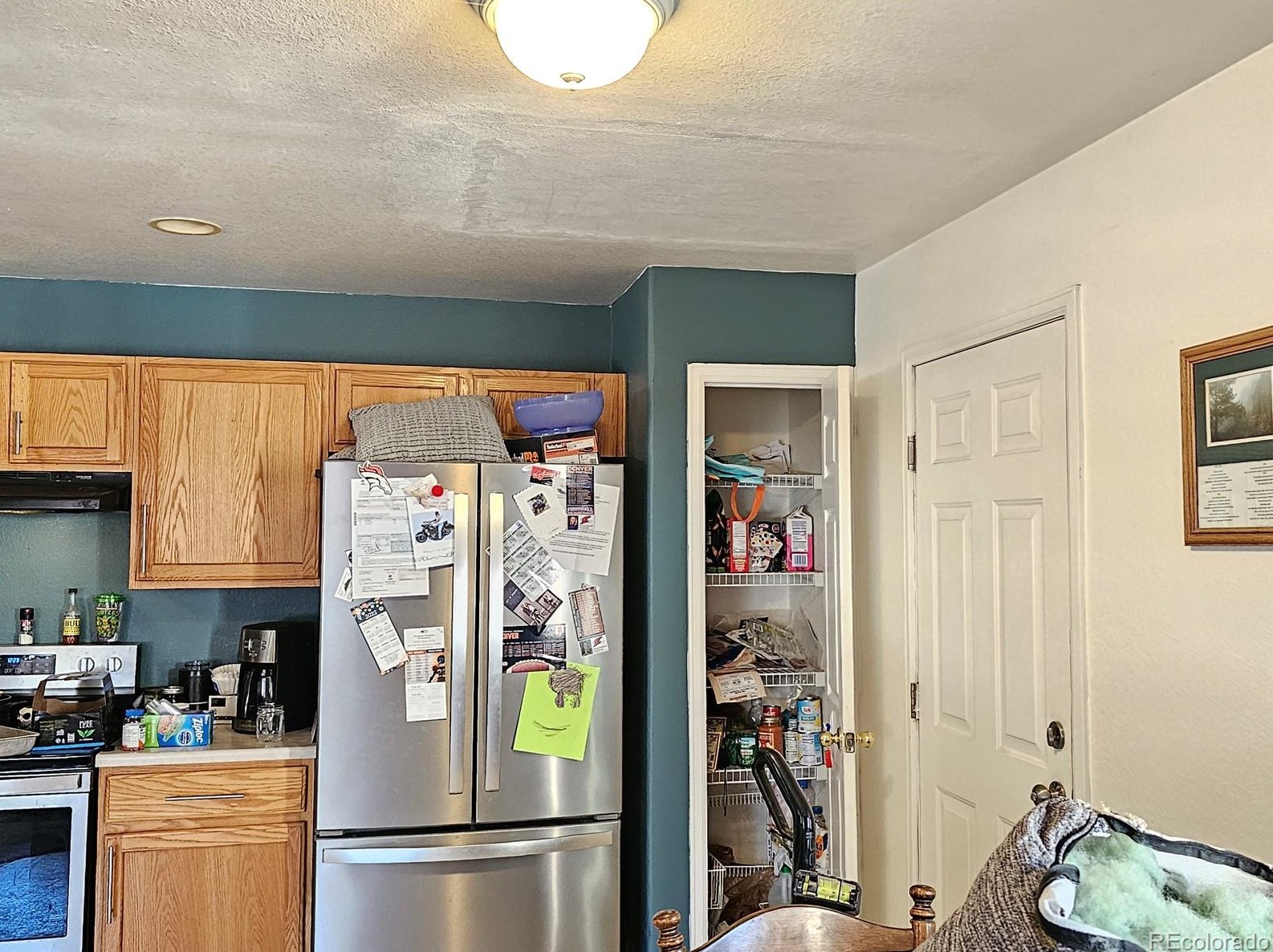 872 Mockingbird Ln, Denver CO  80601-7353 exterior