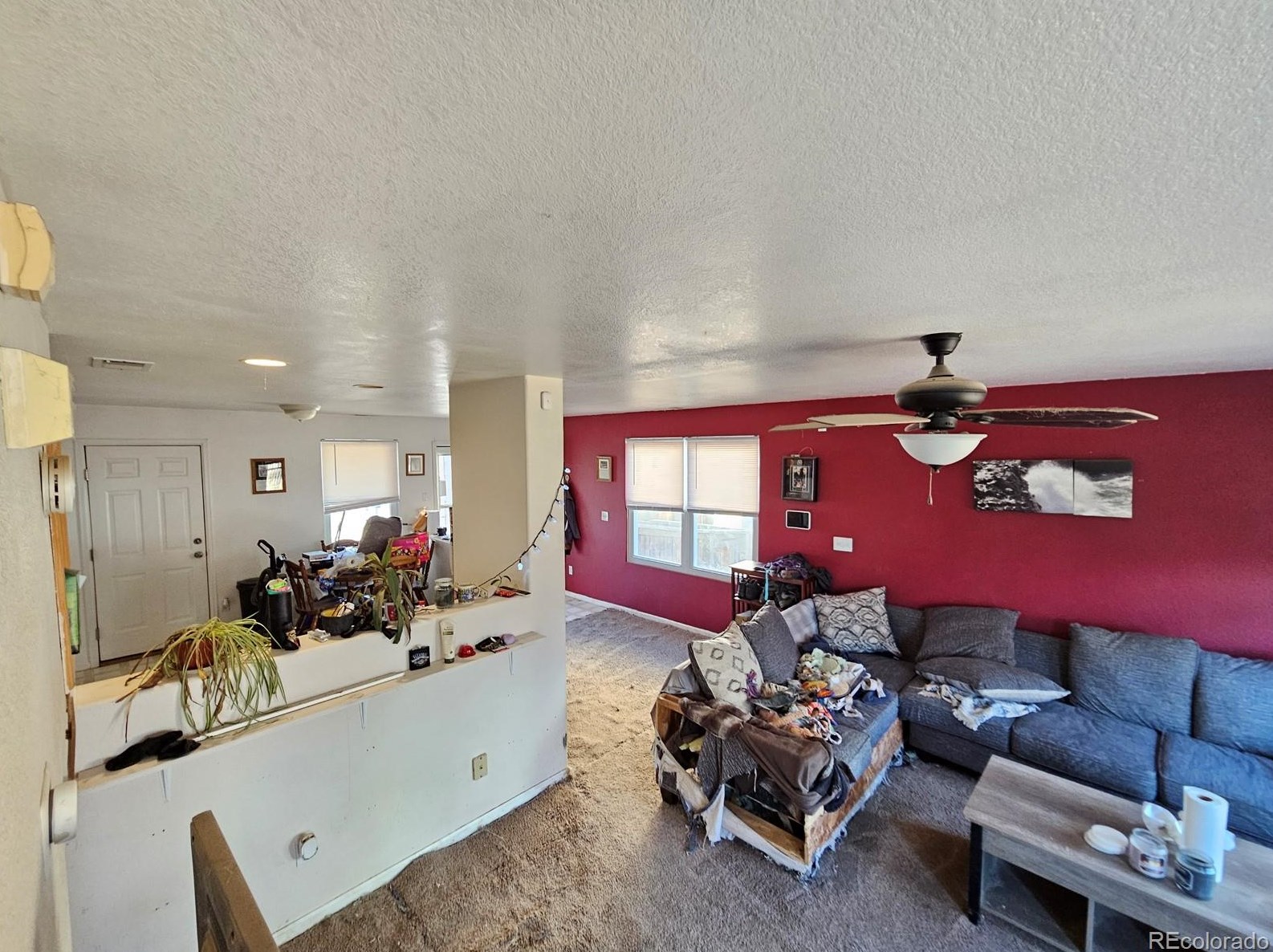 872 Mockingbird Ln, Denver CO  80601-7353 exterior