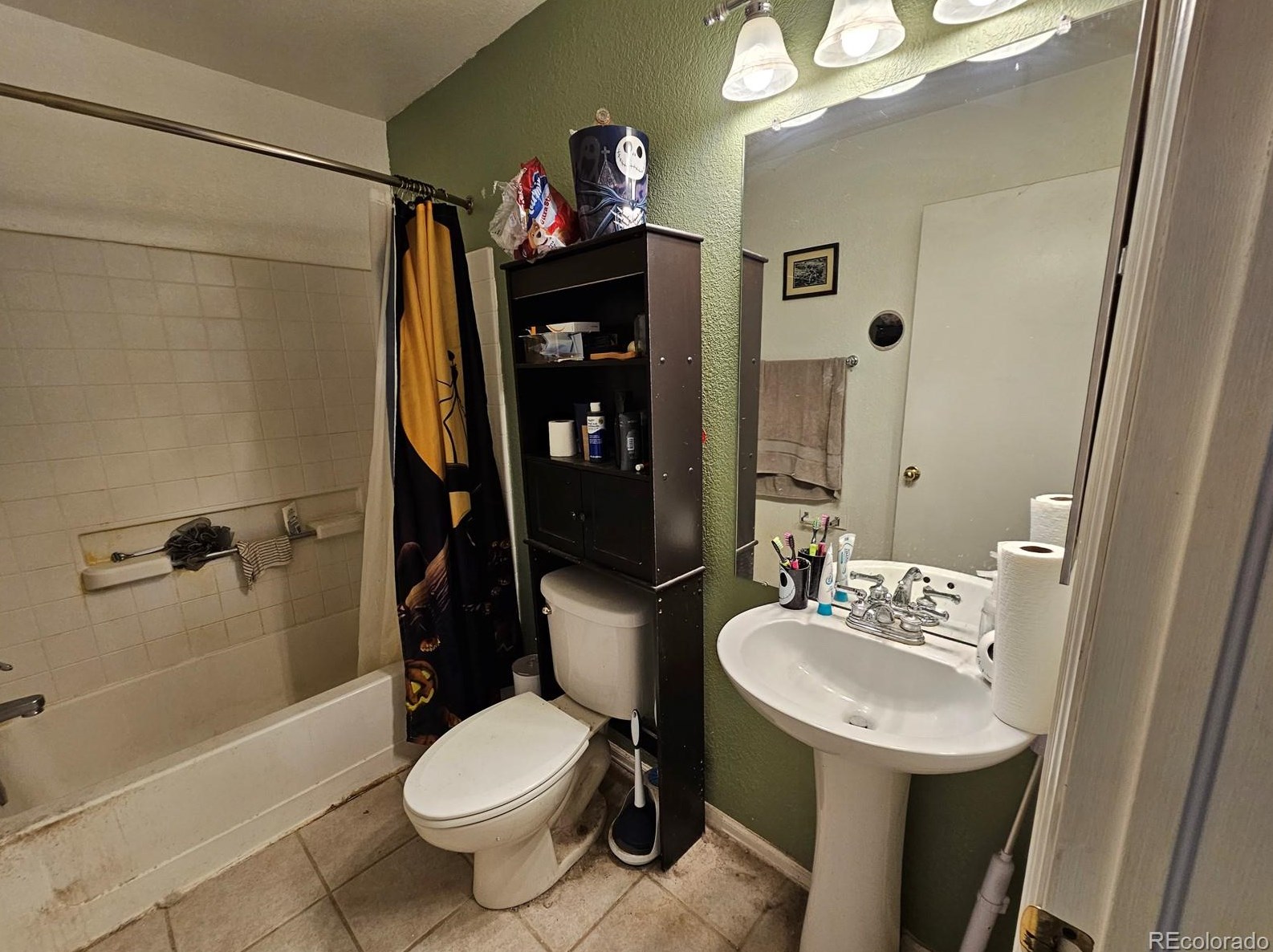 872 Mockingbird Ln, Denver CO  80601-7353 exterior