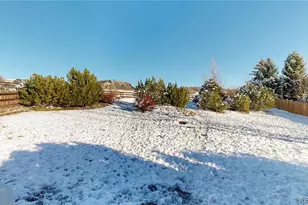 1192 Purple Sage Loop, Castle Rock, CO 80104 - Photo 44