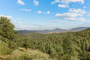 13817 Gordon Ct, Pine, CO 80470 - Photo 1