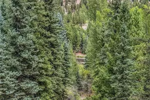 28 Bear Run St, Antonito, CO 81120 - Photo 10