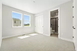 1672 Fox Trotter Pt, Castle Rock, CO 80104 - Photo 20