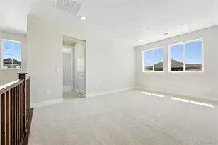 1672 Fox Trotter Pt, Castle Rock, CO 80104 - Photo 6