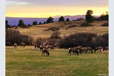 6247 El Diente Peak Place, Castle Rock, CO 80108 - Photo 50