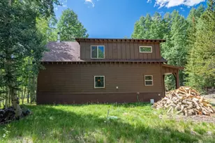 25879 County Rd 162e, Nathrop, CO 81236 - Photo 4