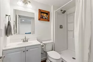 9895 Aftonwood St, Highlands Ranch, CO 80126 - Photo 30