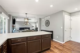 9895 Aftonwood St, Highlands Ranch, CO 80126 - Photo 10