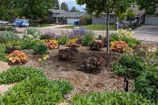 6253 W Caley Ave, Littleton, CO 80123 - Photo 36