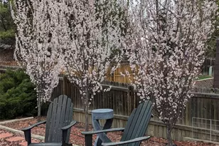 6253 W Caley Ave, Littleton, CO 80123 - Photo 38